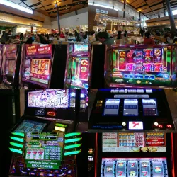 Delaware Park Racetrack and Casino - Bear