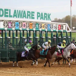 Delaware Park Racetrack and Casino - Bear