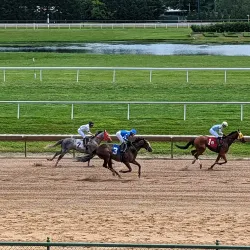 Delaware Park Racetrack and Casino - Bear