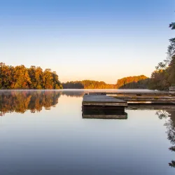 Lums Pond State Park - Bear