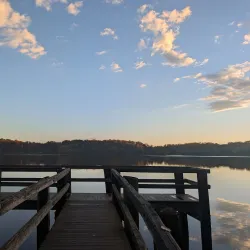 Lums Pond State Park - Bear