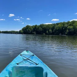 Lums Pond State Park - Bear