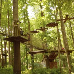 Lums Pond State Park - Bear