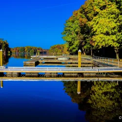 Lums Pond State Park - Bear