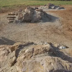 Middle Run Valley Natural Area - Bear