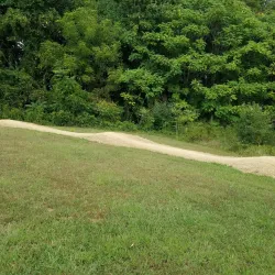 Middle Run Valley Natural Area - Bear