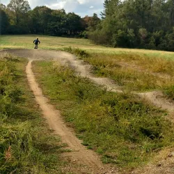 Middle Run Valley Natural Area - Bear