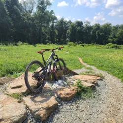 Middle Run Valley Natural Area - Bear