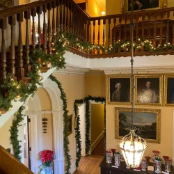 Rockwood Park and Museum - Bear