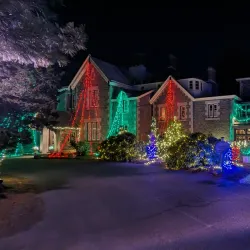 Rockwood Park and Museum - Bear