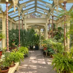 Rockwood Park and Museum - Bear