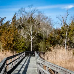 St. Jones Reserve at the Delaware National Estuarine Research Reserve - Dover
