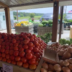Georgetown Farmers Market - Georgetown