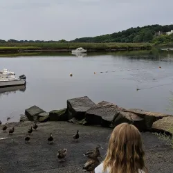 Milton Farmers Market - Milton