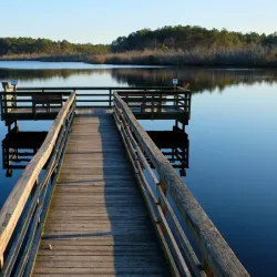 Prime Hook National Wildlife Refuge - Milton