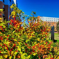 Delaware River Waterfront - New Castle