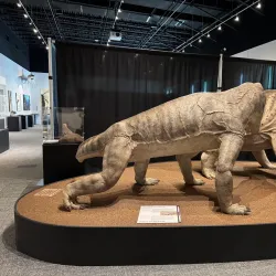 Delaware Museum of Natural History - Newark