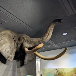 Delaware Museum of Natural History - Newark