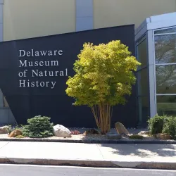Delaware Museum of Natural History - Newark