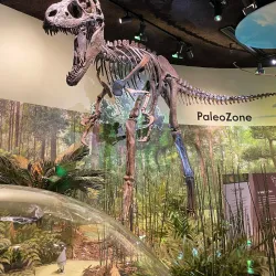 Delaware Museum of Natural History - Newark