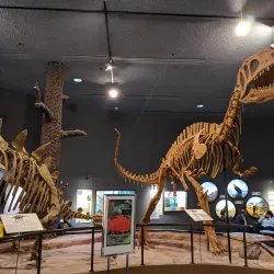 Delaware Museum of Natural History - Newark