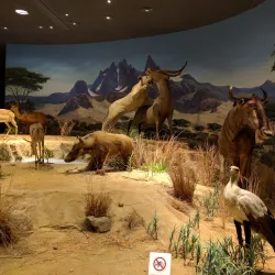 Delaware Museum of Natural History - Newark