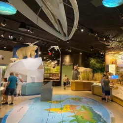 Delaware Museum of Natural History - Newark