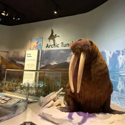 Delaware Museum of Natural History - Newark