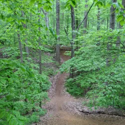 Iron Hill Park - Newark