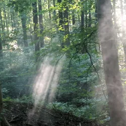 Iron Hill Park - Newark