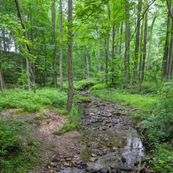 Newark Reservoir - Newark