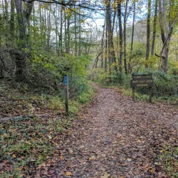 White Clay Creek State Park - Newark