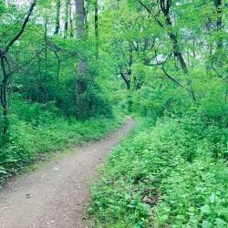 White Clay Creek State Park - Newark