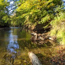 White Clay Creek State Park - Newark