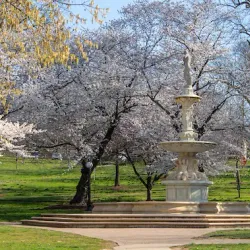 Brandywine Park - Wilmington