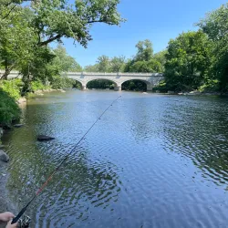 Brandywine Park - Wilmington