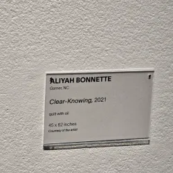 Delaware Center for the Contemporary Arts - Wilmington