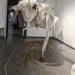 Delaware Center for the Contemporary Arts - Wilmington