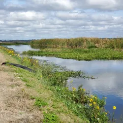 Anchor Park - Apopka