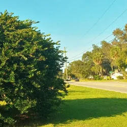 Apopka Community Center - Apopka