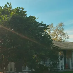 Apopka Community Center - Apopka