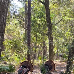 Kelly Park Campground - Apopka