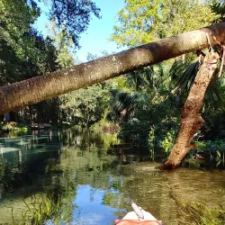 Kelly Park Campground - Apopka