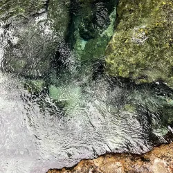 Kelly Park Campground - Apopka