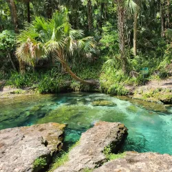 Kelly Park/Rock Springs Run - Apopka