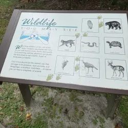 Kelly Park/Rock Springs Run - Apopka