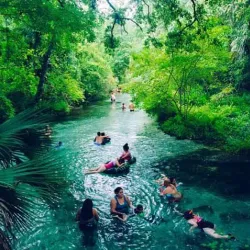 Kelly Park/Rock Springs Run - Apopka