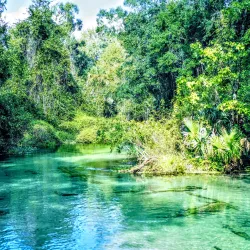 Kelly Park/Rock Springs Run - Apopka