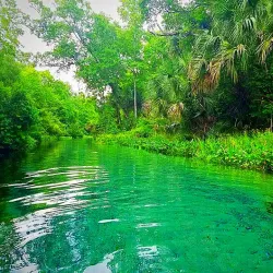 Kelly Park/Rock Springs Run - Apopka