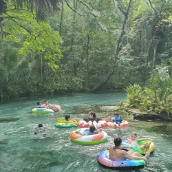 Kelly Park/Rock Springs Run - Apopka